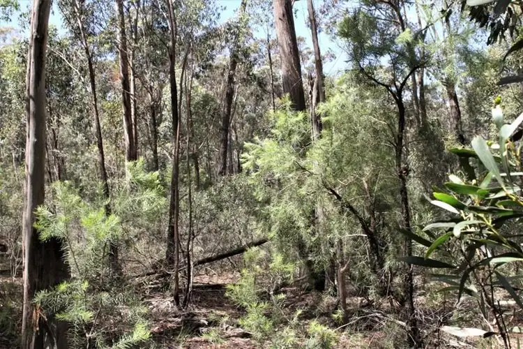 Sixth view of Homely rural property listing, 2501 Towrang Rd, Big Hill NSW 2579