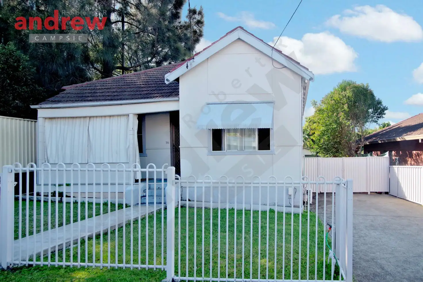 Main view of Homely house listing, 16 Charlotte Street, Campsie NSW 2194