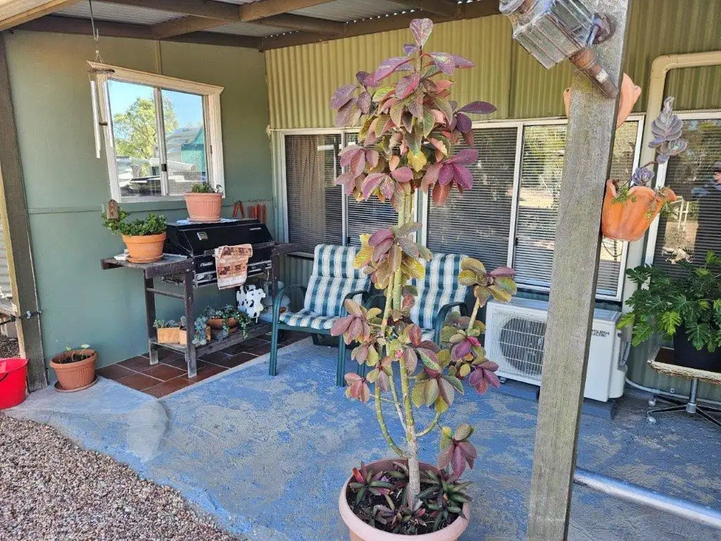 Main view of Homely house listing, 33 New Chum Terrace, Lightning Ridge NSW 2834