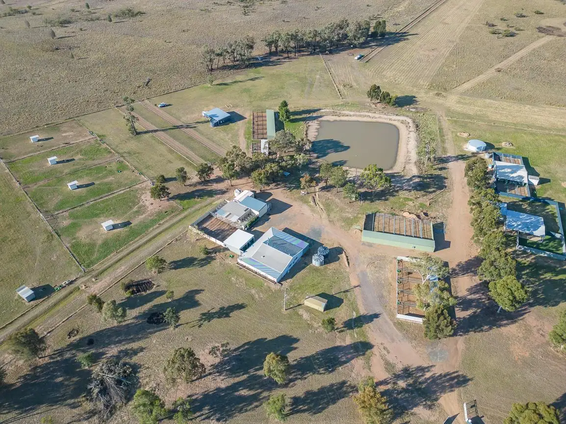 Main view of Homely house listing, 2493 Tantitha Road, Tomingley NSW 2869