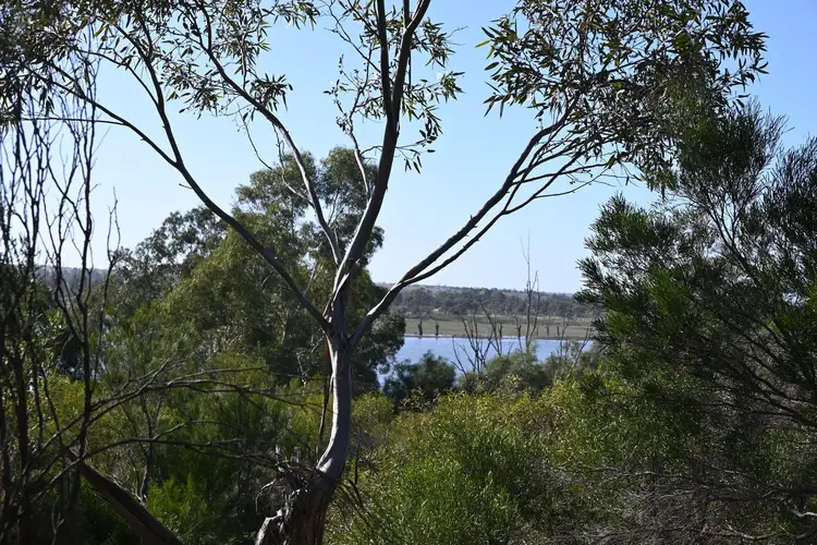 Lot 737 Ramco Road, Waikerie SA 5330