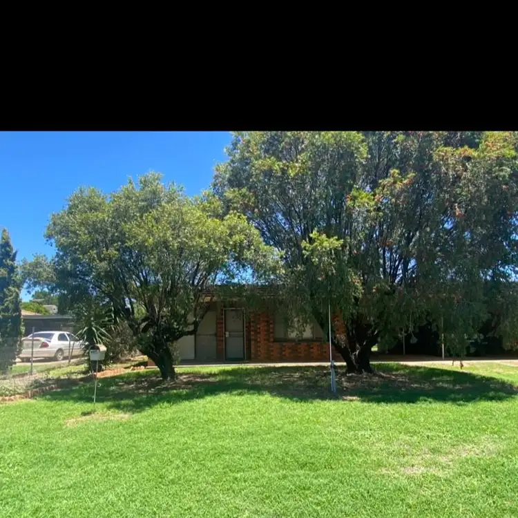 Main view of Homely unit listing, 1/108 Laidlaw Street, Boggabri NSW 2382