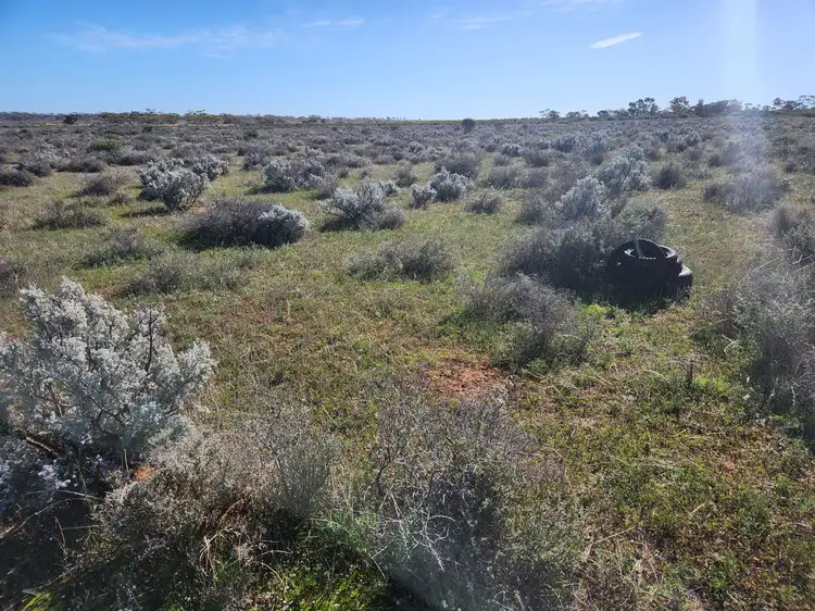 Main view of Homely land listing, Lot 303 Ring Road, Morgan SA 5320