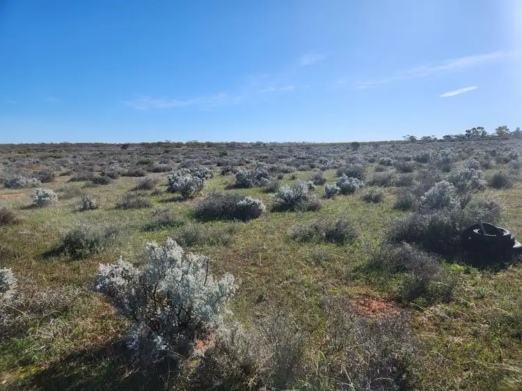 Second view of Homely land listing, Lot 303 Ring Road, Morgan SA 5320