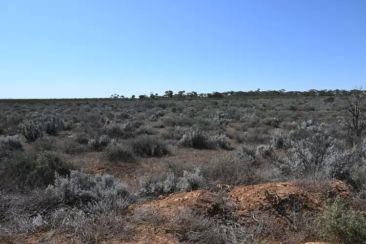 Third view of Homely land listing, Lot 303 Ring Road, Morgan SA 5320