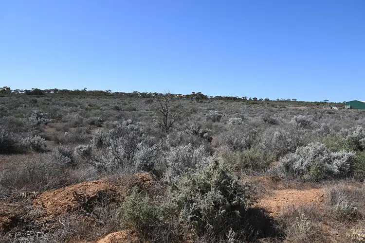 Fourth view of Homely land listing, Lot 303 Ring Road, Morgan SA 5320