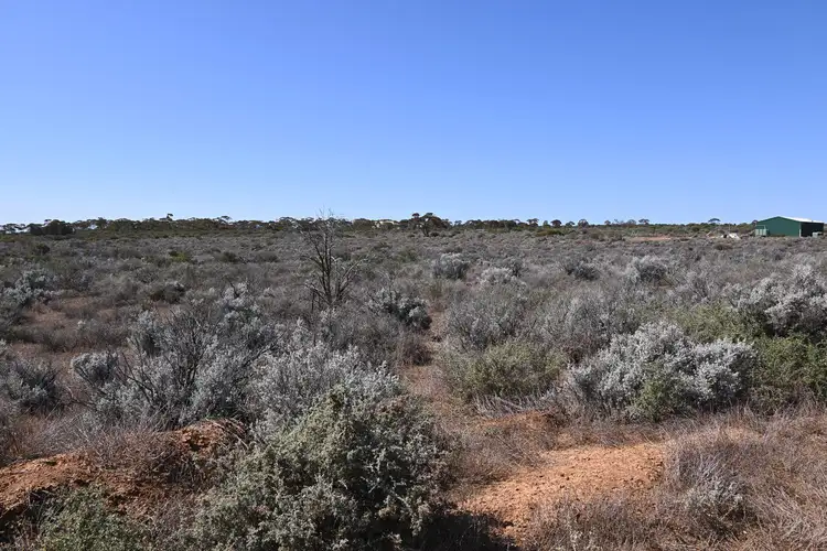 Fifth view of Homely land listing, Lot 303 Ring Road, Morgan SA 5320