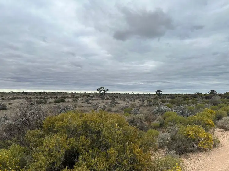 Main view of Homely land listing, Lot 18 Lovers Lane, Morgan SA 5320