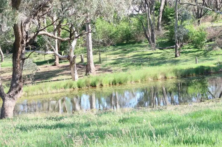 Fourth view of Homely rural property listing, 466 Burrendong Way, Orange NSW 2800