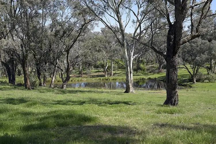 Fifth view of Homely rural property listing, 466 Burrendong Way, Orange NSW 2800