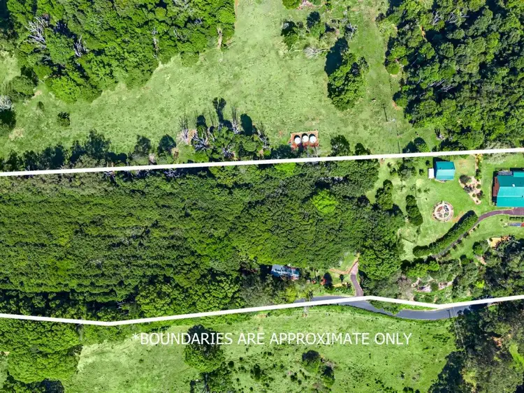 Fifth view of Homely rural property listing, 541 Binna Burra Road, Federal NSW 2480