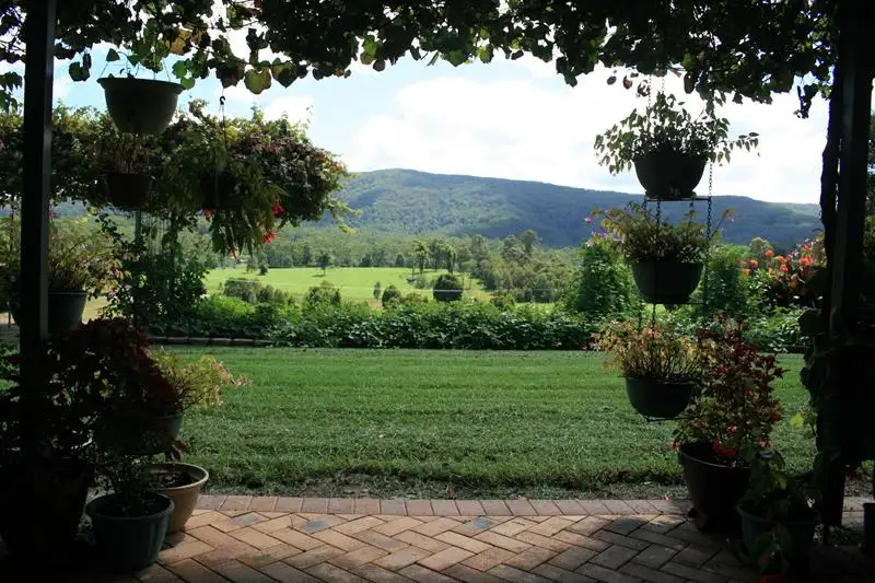 Main view of Homely rural property listing, 1386 Bucca Road, Nana Glen NSW 2450