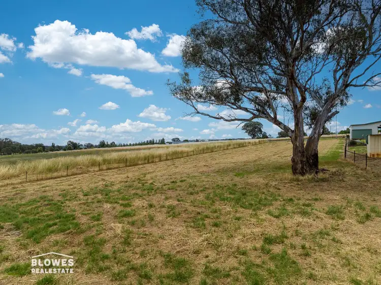 Seventh view of Homely land listing, 4 Fisher Street, Cargo NSW 2800