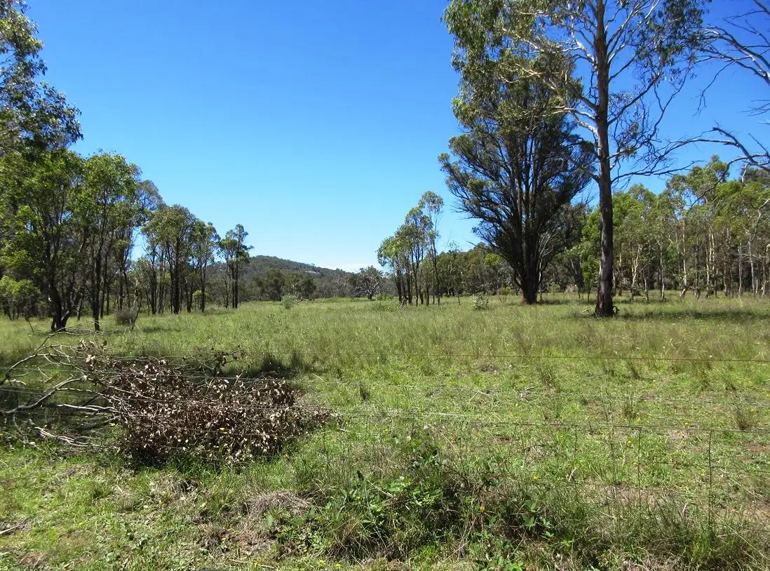 Main view of Homely rural property listing, Lot 16 499 Balala Road, Uralla NSW 2358