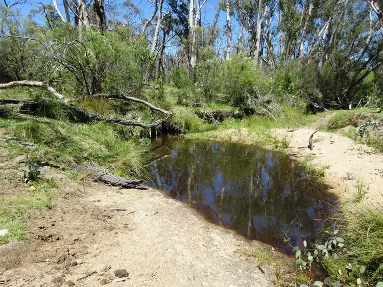 Third view of Homely rural property listing, Lot 16 499 Balala Road, Uralla NSW 2358