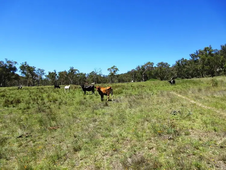 Fourth view of Homely rural property listing, Lot 16 499 Balala Road, Uralla NSW 2358