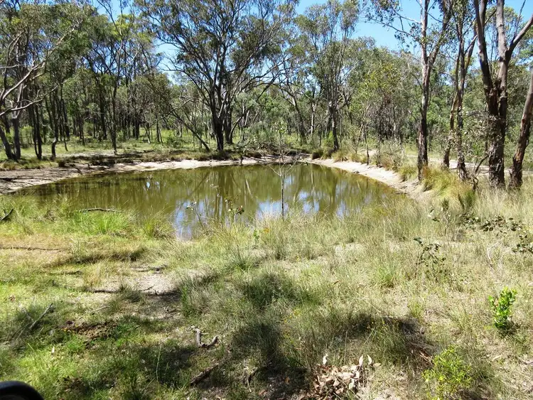 Sixth view of Homely rural property listing, Lot 16 499 Balala Road, Uralla NSW 2358