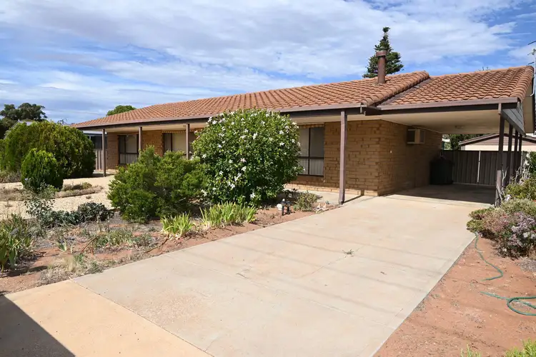 4 Fifth Street, Morgan SA 5320