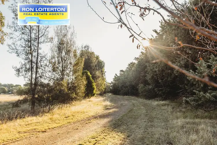 Second view of Homely house listing, 493 W Jindalee Road, Cootamundra NSW 2590