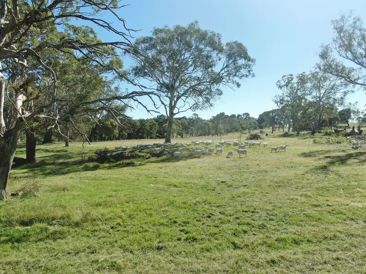 45 Wesley Road, Parkesbourne NSW 2580