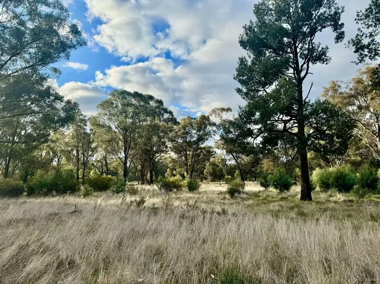 Third view of Homely house listing, 5576 Burley Griffin Way, Stockinbingal NSW 2725