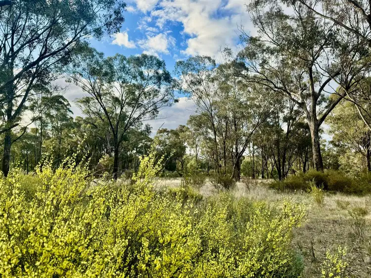 Fifth view of Homely house listing, 5576 Burley Griffin Way, Stockinbingal NSW 2725