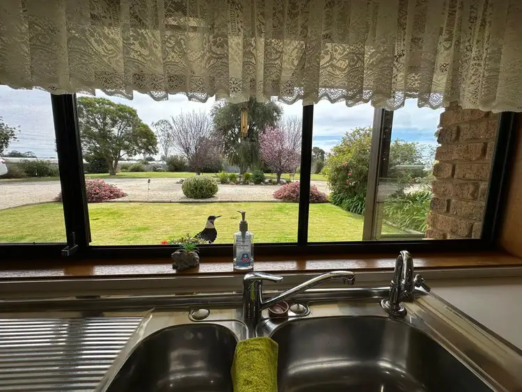 Fourth view of Homely house listing, 33 Noble Road, Waikerie SA 5330