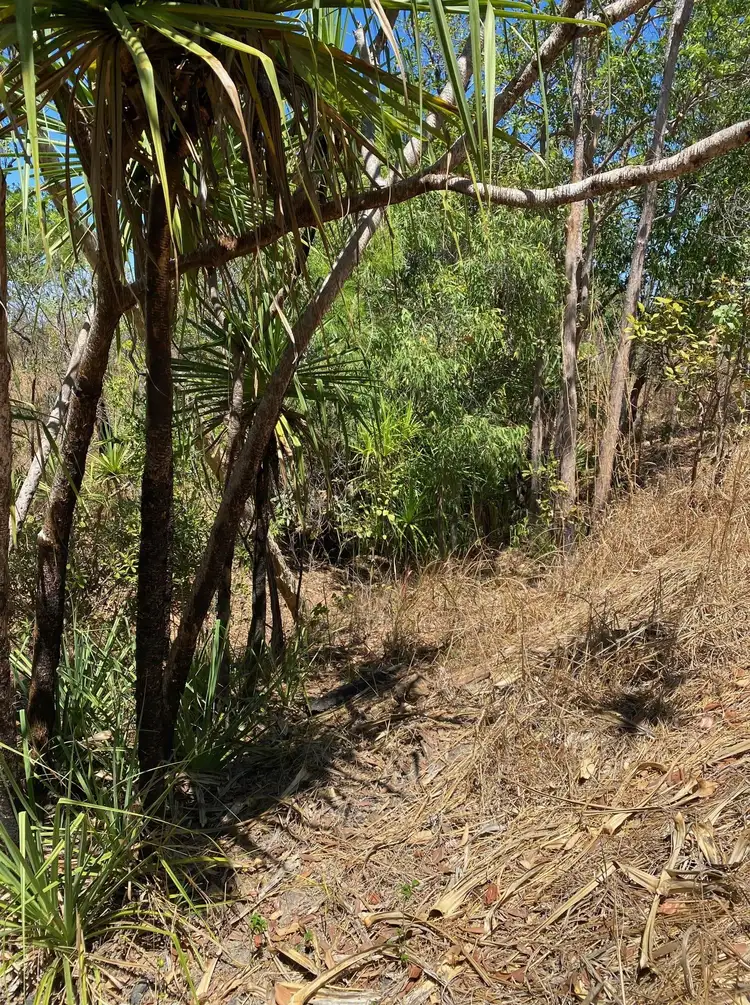 Second view of Homely land listing, 100 Parkin Road, Livingstone NT 822