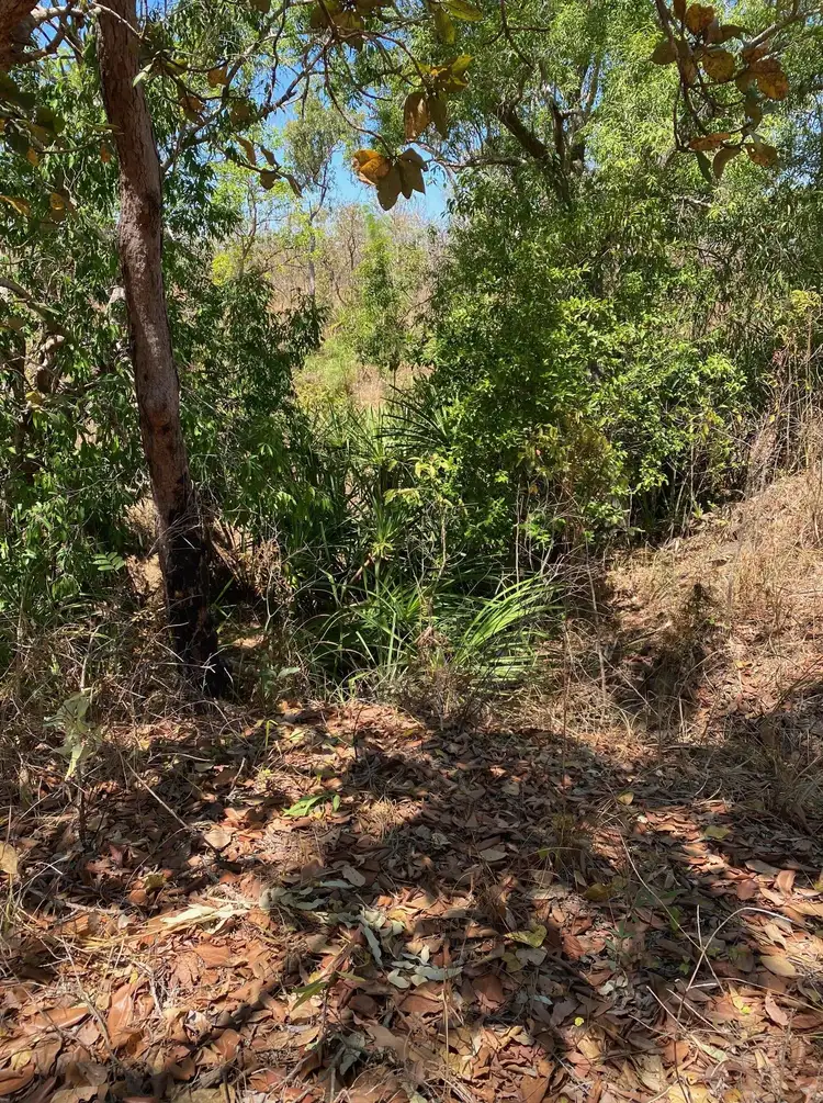 Fifth view of Homely land listing, 100 Parkin Road, Livingstone NT 822