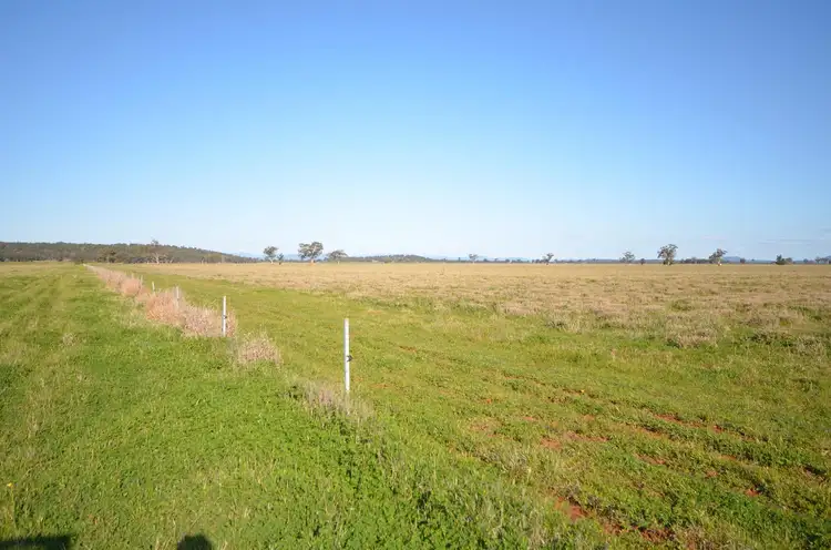 Third view of Homely rural property listing, 337 Booloocooroo Road, Gunnedah NSW 2380