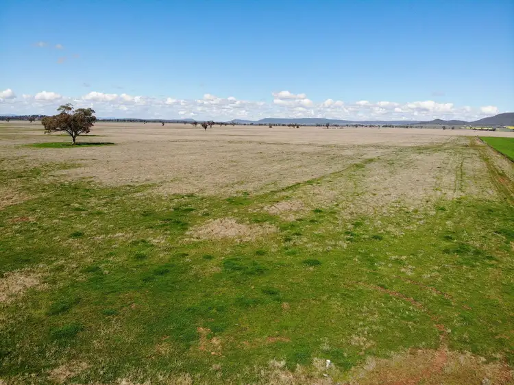 Fourth view of Homely rural property listing, 337 Booloocooroo Road, Gunnedah NSW 2380