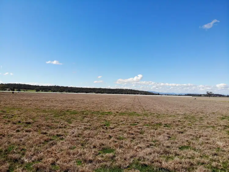 Fifth view of Homely rural property listing, 337 Booloocooroo Road, Gunnedah NSW 2380