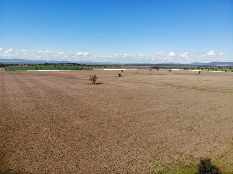 Sixth view of Homely rural property listing, 337 Booloocooroo Road, Gunnedah NSW 2380