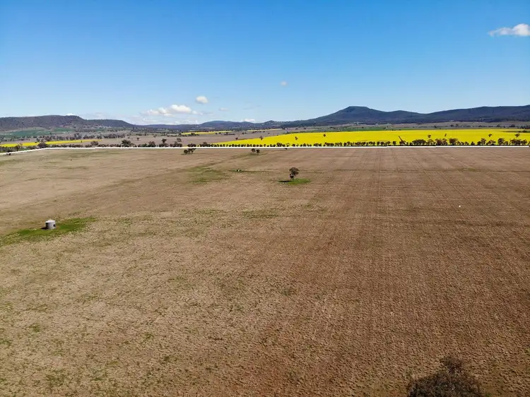 Seventh view of Homely rural property listing, 337 Booloocooroo Road, Gunnedah NSW 2380
