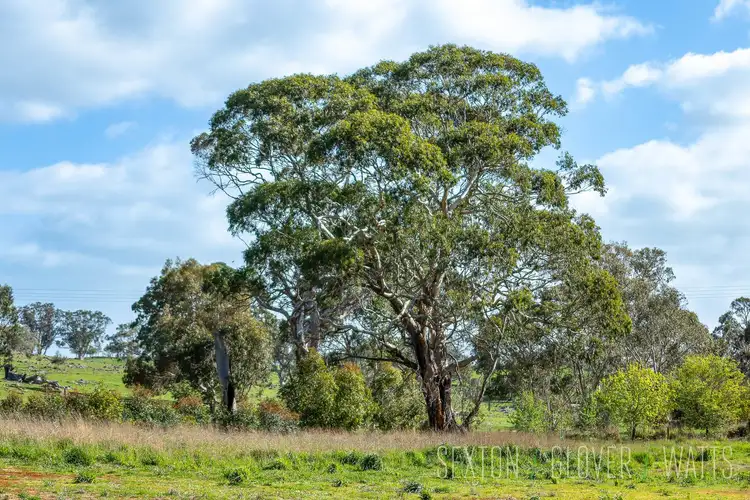 Seventh view of Homely land listing, 358 Harrogate Road, Brukunga SA 5252