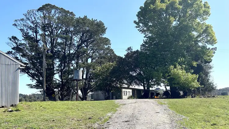 203 Ellsmore Road