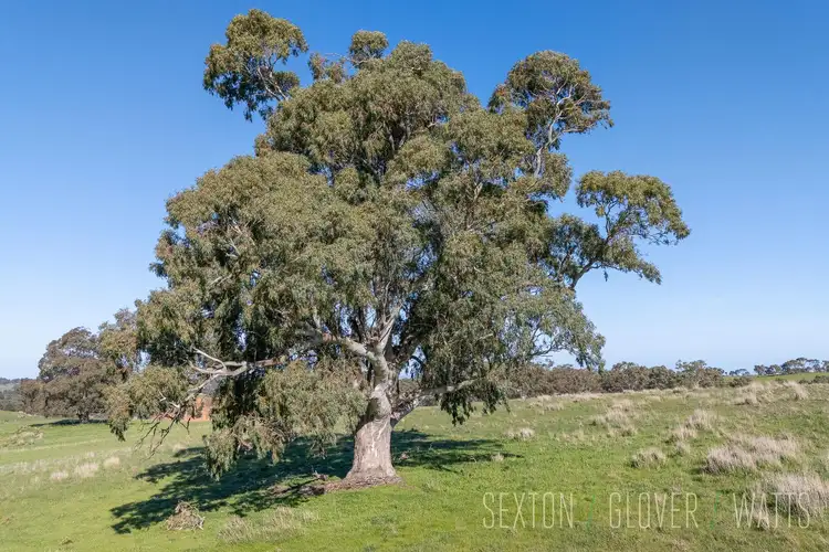 Second view of Homely land listing, Peggy Buxton Road, Brukunga SA 5252