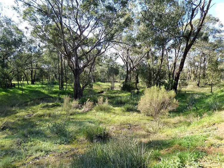 Fourth view of Homely land listing, 48 Dudauman Street, Stockinbingal NSW 2725