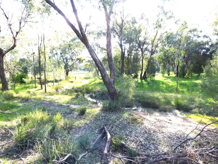 Fifth view of Homely land listing, 48 Dudauman Street, Stockinbingal NSW 2725