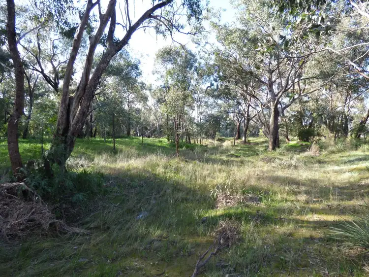 Sixth view of Homely land listing, 48 Dudauman Street, Stockinbingal NSW 2725