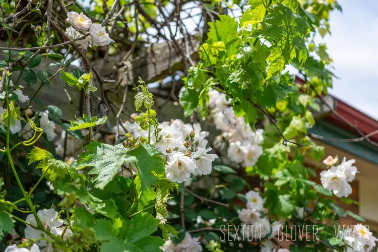 Second view of Homely house listing, 1/14 Fletcher Road, Mount Barker SA 5251