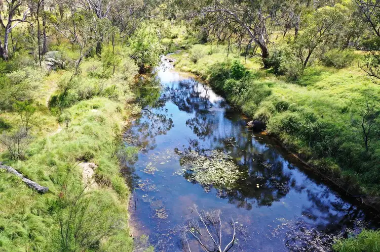 Sixth view of Homely house listing, 67 Panhandle Road, Uralla NSW 2358