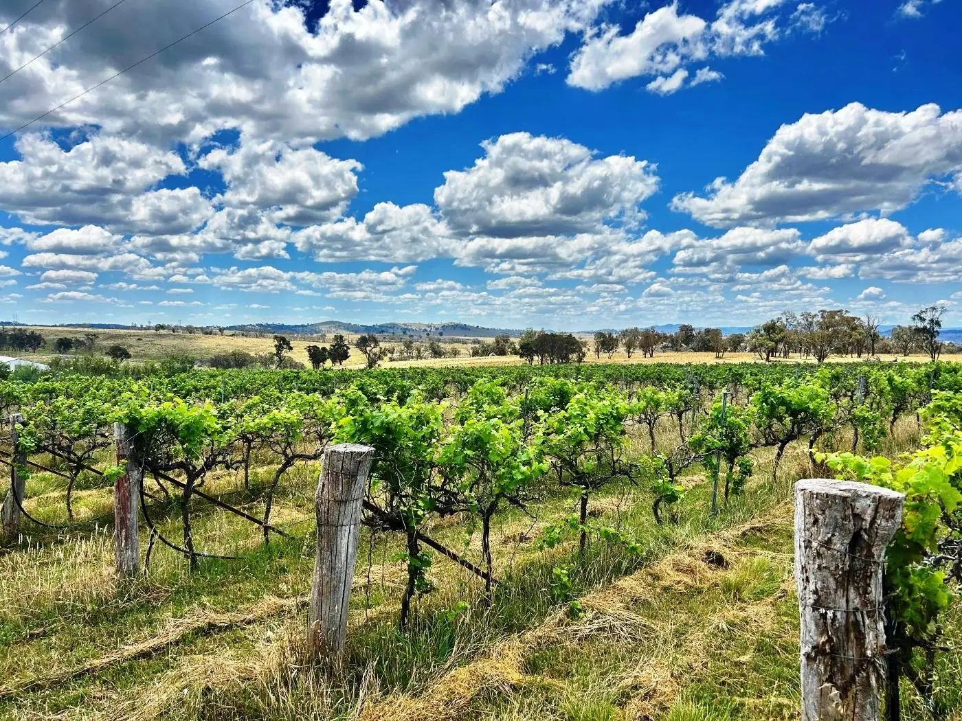 Main view of Homely rural property listing, 376 Kingstown Road, Uralla NSW 2358