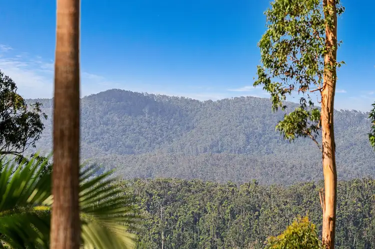 Fourth view of Homely house listing, 102-104 Wongawallan Road, Tamborine Mountain QLD 4272