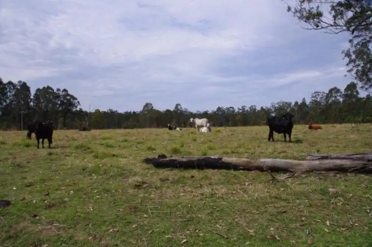 Third view of Homely rural property listing, Lot 1 Dinjerra Road, Glenugie NSW 2460