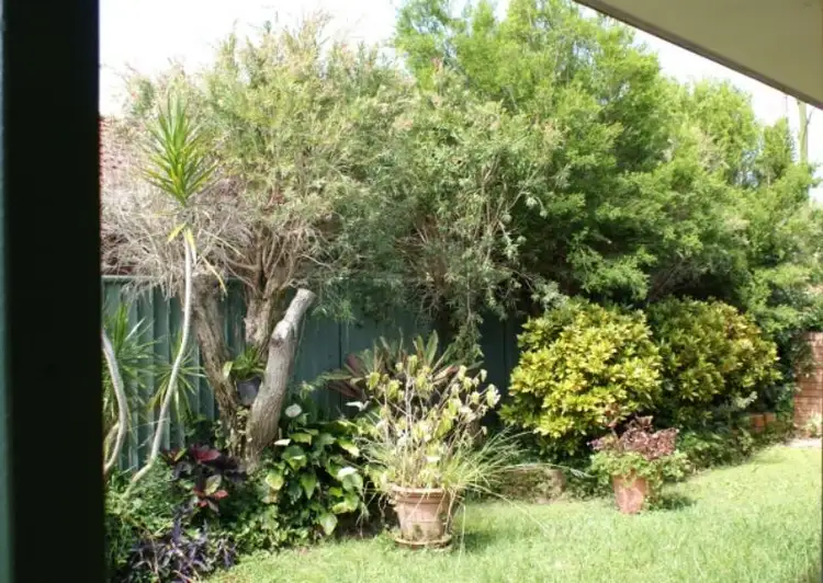 Fifth view of Homely house listing, 3 Sare Street, Woolgoolga NSW 2456