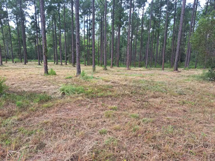 Second view of Homely land listing, Lot 78/Lot 78 Neerdie Road, Glenwood QLD 4570
