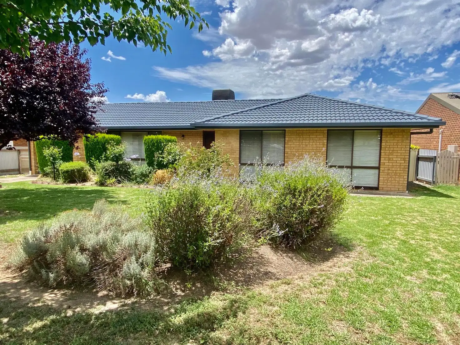 Main view of Homely house listing, 4 Crowe Place, Cootamundra NSW 2590