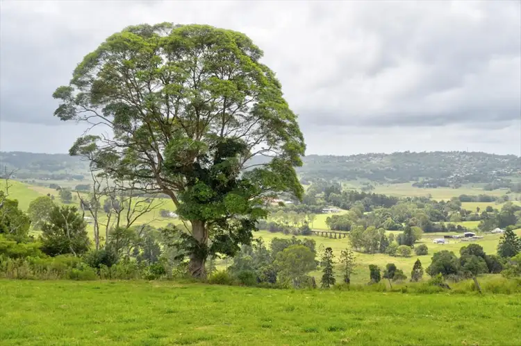 366 Dunoon Road, Tullera NSW 2480