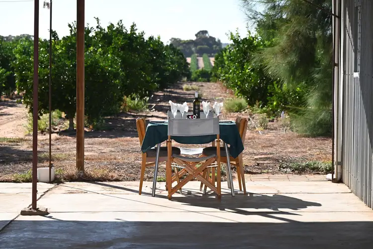 98 Hill Road, Waikerie SA 5330